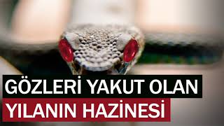 GÖZLERİ YAKUT OLAN YILANIN HAZİNESİ ibretlik hikayeler sesli kitap dini hikayeler hüseyin duru [upl. by Brownley]