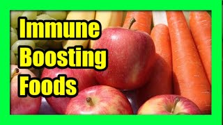 Immunity Boosting Foods High Immunity Food Along With Non Veg For Children  Sakshi TV [upl. by Bamby]