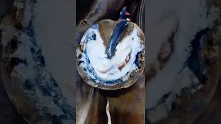 Laminitis Shoeing satisfying asmr asmrvideo laminitis horse hoof dubai foryou farrier [upl. by Sandon719]