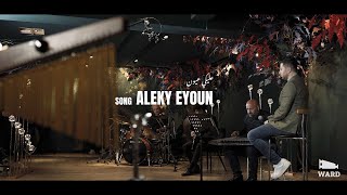 Aleky Eyoun  cover Fadi Karat  عليكي عيون [upl. by Ahsatsan506]