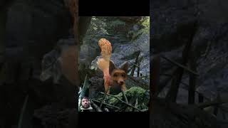 The Fox and the Bird  CGI short film by Fred and Sam Guillaume shorts viralvideo [upl. by Trinidad]