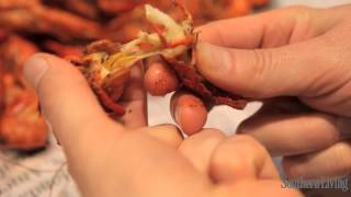 How To Eat Crawfish [upl. by Saretta555]