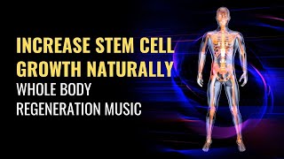 Increase Stem Cell Growth Naturally  Heal Your Stem Cells  Whole Body Regeneration Music  528 Hz [upl. by Rosenberg]