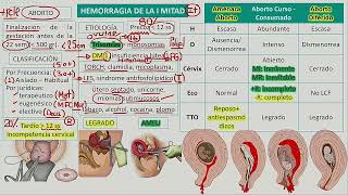 Obstetricia  Aborto [upl. by Eanahc]