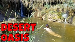 Ruins Oasis Beer Hot Springs Hiking the Amargosa River Trail From China Ranch to Tecopa [upl. by Delaryd]