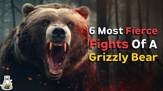 6 Most Fierce Fights of a Grizzly Bear [upl. by Aubreir364]