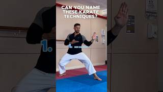 What are these Karate Techniques karate martialarts shotokan shorts [upl. by Flowers144]