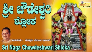 ಶ್ರೀ ಚೌಡೇಶ್ವರಿ ದೇವಿ ಶ್ಲೋಕ  Sri Chowdeshwari Devi Shloka  Narasimha Nayak  Devi Shloka [upl. by Lindsay]