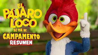 EL PAJARO LOCO se va de CAMPAMENTO de NETFLIX 2024  Resumen en minutos [upl. by Harts]