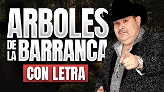 ARBOLES DE LA BARRANCA con LETRA El Coyote y su Banda Viejitas Rancheritas [upl. by Pablo]