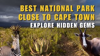 MUST SEE HIDDEN GEM close to CAPE TOWN – Exploring BONTEBOK NATIONAL PARK in South Africa [upl. by Zeitler130]