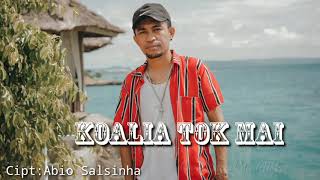 KOALIA TOK MAIABIO SALSINHA HENDMARKHOKACOVER [upl. by Shamrao]