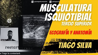 Musculatura isquiotibial tercio superior muslo  Ecografía y patología con Tiago Silva ecografia [upl. by Bael]