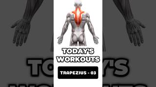 The Best Trapezius Workouts 😈🔥 Part  03 Next Leval Fitness  gym workout fitness shorts [upl. by Akemhs]