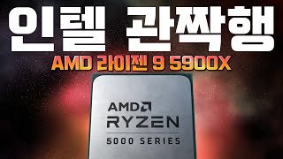 괴물이다 괴물 RYZEN 5900X 작업성능 벤치마크 AMD vs Intel [upl. by Laurel900]