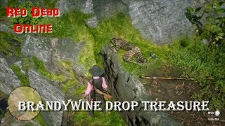 Red Dead Online Brandywine Drop Treasure Hunt [upl. by Terrye449]