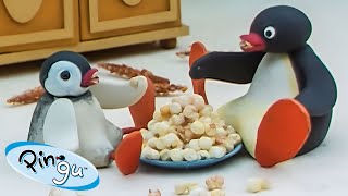 Pingu at Home 🐧  Pingu  Official Channel  Cartoons For Kids [upl. by Lorenzana]