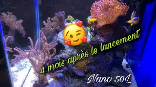 5 4 mois après le lancement du Nano 50L [upl. by Debbi]