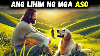 Ang ASO ba ay Isang Espirituwal na Nilalang Tuklasin ang Kagulatgulat na Katotohanan sa Biblia [upl. by Neelsaj]