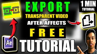 Export Transparent Video After Effects Tutorial [upl. by Mordecai]