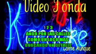 GILBERTO SANTAROSA SOMBRA LOCA KARAOKE DEMO [upl. by Lusty275]