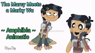 The Marcy Meets a Marky Wu Amphibia Animatic [upl. by Yerd]