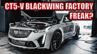 Cadillac CT5V Blackwing Shocks Everyone [upl. by Anerdna75]