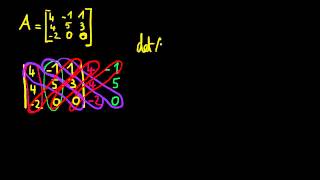 Trouver le déterminant dune matrice 3x3  Méthode 1 [upl. by Litt]