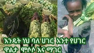 እንዴት ነህ ባለ ሀገር የሀገር ኢኮኖሚ ሞሶሶ እና ማገር [upl. by Euqinahc586]