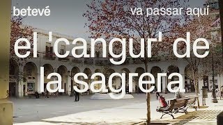 El cangur de la Sagrera  Va passar aquí  betevé [upl. by Atinej]