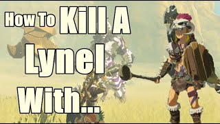 I Prefer to Parry How to Kill A Lynel in Zelda Breath of The Wild [upl. by Ellatsirhc702]