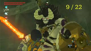 All Lynel locations no damage  Zelda BOTW [upl. by Labotsirhc]