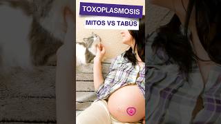 Mitos de la Toxoplasmosis shorts toxoplasmosis embarazadas [upl. by Adnaw6]