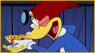 Woody Woodpecker Show  Eanie Meany Out You Go Full Episode  Videos For Kids [upl. by Rubina33]