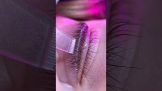 Big beauty trends 👉🏻 Lash Lift and Tint💕 lashlifting lashliftandtint lashtint iconsign [upl. by Amocat]