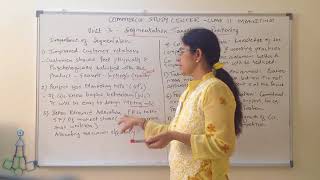 Class 11 Marketing CBSE Chapter 3 Segmentation Targeting and Positioning [upl. by Atneuqal]