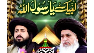 Allama Saad Hussain rizvi trending status youtubeshorts shortsfeedforyou [upl. by Aivitnahs]