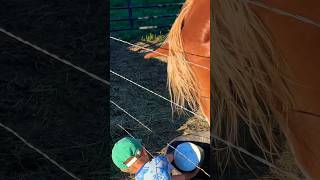 Little farmhand helper feeding breakfasts this morning 🫶🏼 littlefarmer rescuefarm familyfarm [upl. by Crowe]