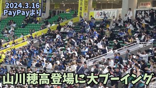 三振に大歓声😆ホークス山川穂高の第１打席にブーイングする西武ライオンズファン👎2024316⚾️ソフトバンクホークス対西武ライオンズ [upl. by Derk]