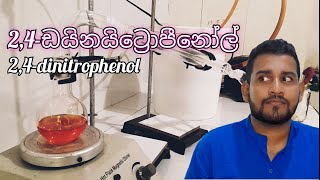 24dinitrophenol  Sinhala [upl. by Egarton]