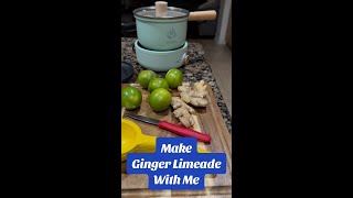 Ginger Limeade [upl. by Frost485]