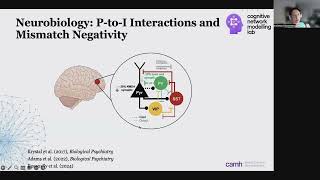 OHBM 2024  Educational Course  Connectomebased models of wholebrain dynamics  Part 8 [upl. by Ahsir]