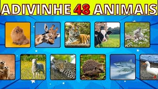 Adivinhe 48 Animais em 3 Segundos 🐳🐙🦈  MaQUIZ  Só 1  Acertam Todas [upl. by Bluma842]