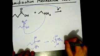 How to Make Amides Mechanism [upl. by Eceinwahs]