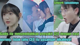 Gadis itu menyembuhkan penyakit CEO dengan nasi goreng tetapi dia tidak tahu bahwa CEO adalah [upl. by Cosetta]