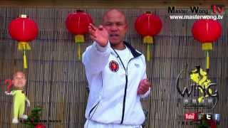 wing chun basics  How to do palm strike Lesson 5 [upl. by Kikelia68]