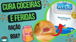 RAÇÃO HIPOALERGENICA PARA CACHORRO ALÉRGICO COM COCEIRA NA PELE E DERMATITE QUE NÃO CURA FERIDAS [upl. by Ellirehs]