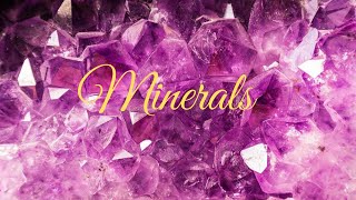 What do minerals do [upl. by Holmes]