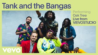 Tank And The Bangas  Oak Tree Live Performance  Vevo [upl. by Dolorita]