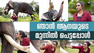 ഞാൻ ആനയുടെ മുന്നിൽ പെട്ടപ്പോൾ [upl. by Kcirredal203]